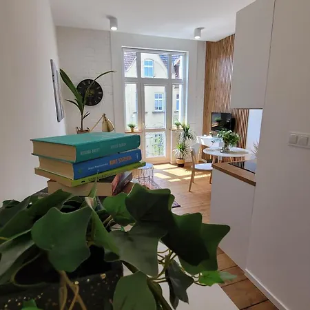Klimatyczny Apartament W Sercu Bydgoszczy Exterior photo