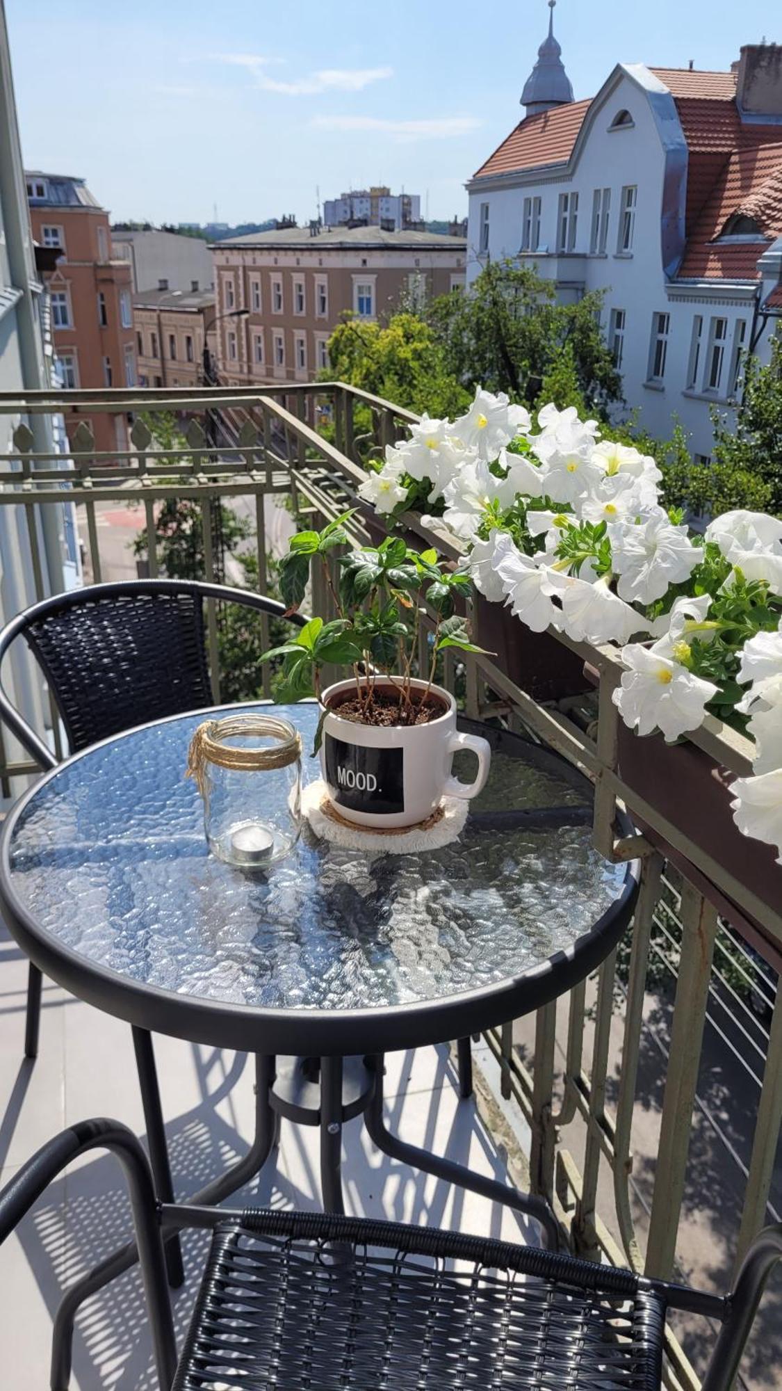 Apartment Klimatyczny W Sercu Bydgoszczy *